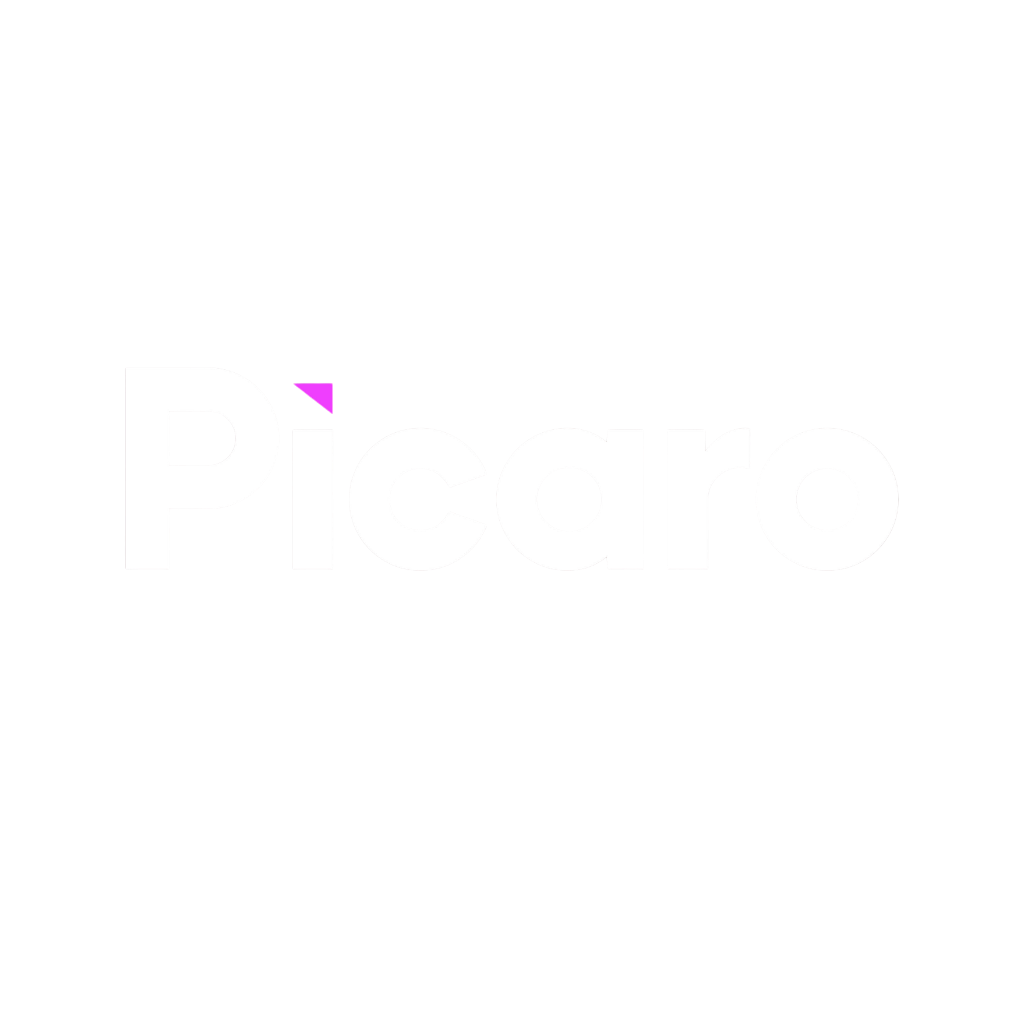 Picaro Studio